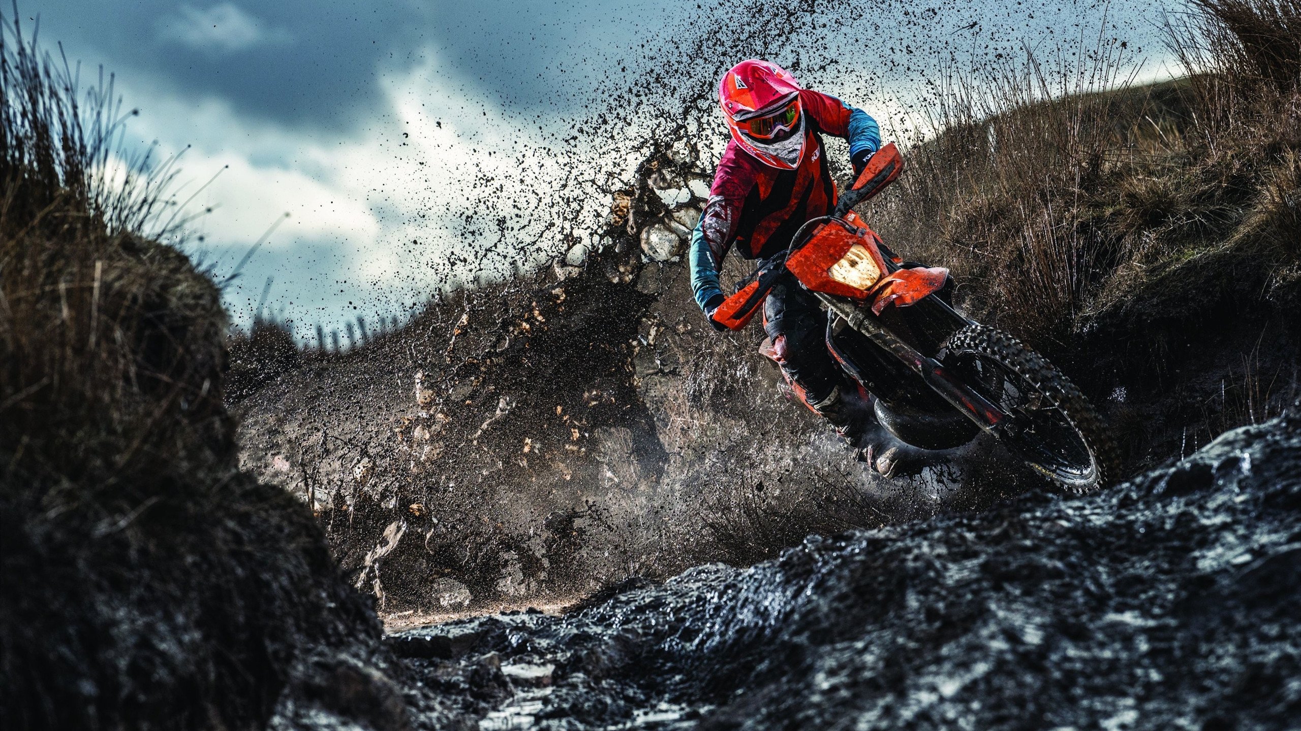 布克贡献制胜表现，魔术终结黄蜂